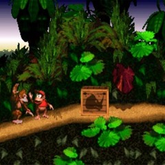 Forest Interlude (DK COUNTRY2)