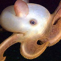 Mozric Smentacles