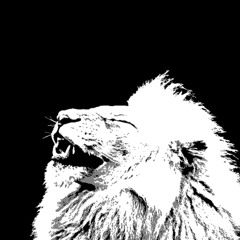 Licuid-gentle squeeze revisit