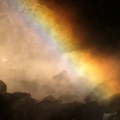 Baji's Law // Paula Daunt // Tranzmitter Compilation (Volume 4)