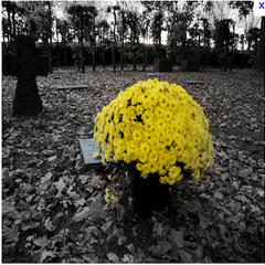 GODCOMPLEX - I Saw The Sun Die