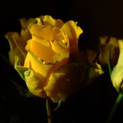 Not like movies - KC Concepcion 94 Bpm part 01 (Nono's Collab Mix)-dj emerson