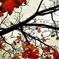 ATB - The Autumn Leaves (Original Vocal Mix) artwork