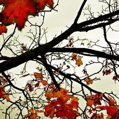 ATB - The Autumn Leaves (Original Vocal Mix)