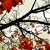 Artwork for ATB - The Autumn Leaves (Original Vocal Mix)
