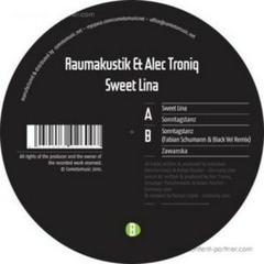 Raumakustik - Sonntagstanz (T.S.B.i.N. Raveakustik Re
