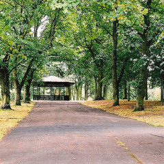 Fed Tom & Kawook - Reverance