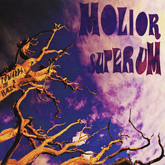 Molior Superum - Towards The Haze