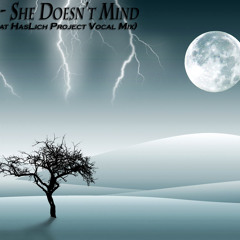 Sean Paul - She Doesn't Mind (WC Project feat HassLich Project Vocal Mix)