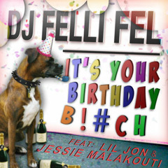 Jessie Malakouti -  It's Your Birthday Bitch (feat. DJ Felli Fel & Lil Jon)