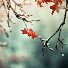 What, What, in the Butt