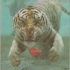 Underwater [STBB257]