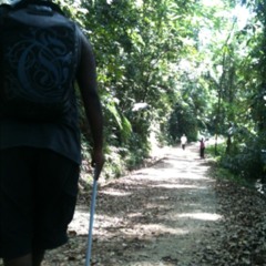 People passing by and a strange buzzing sound  at Forest Research Institute of Malaysia (FRIM)