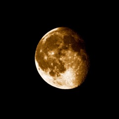 Mary Had A Little Lamb Dark Version - Phillip J Rhoades - 2012