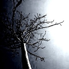 februare MMXII