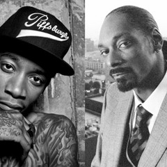 Young, Wild & Free (SnatchGrab INSANE! Mash)