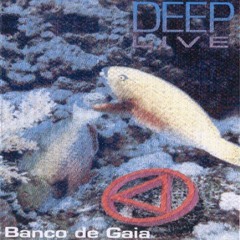 Banco de Gaia - Darkside