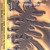 Artwork for Banco de Gaia - Desert Wind