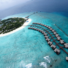 Chilled Holiday