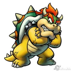 Koopa Killanoize Contest