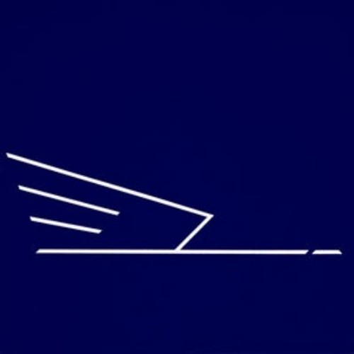 The Wild Swans - The Revolutionary Spirit