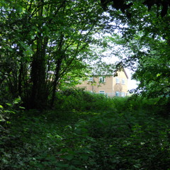 Her Voice Will Be Perfect