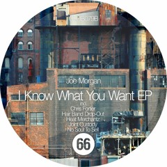 Joe Morgan - I Know What You Want (No Soul To Sell Remix) RELEASED on Club 66 Records