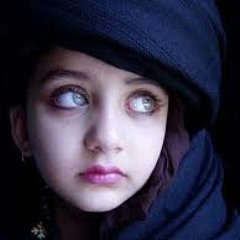 Meri zat zarra-e-benishan