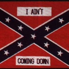 01 Wave the Rebel Flag