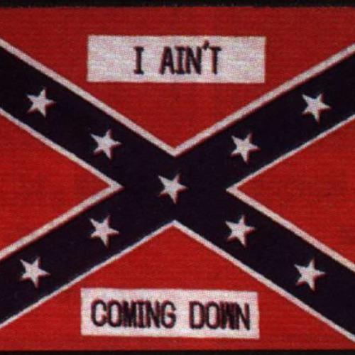 01 Wave the Rebel Flag