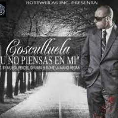 TU NO PIENSAS EN MI - Dj GABiiE 2012- COSCULLUELA