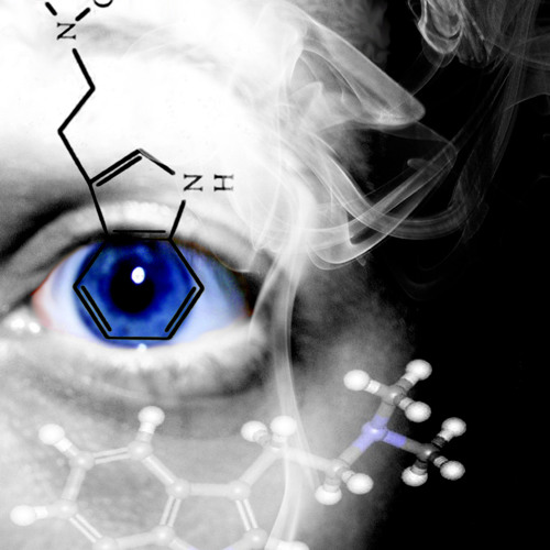 Di-Methyl Tryptamine Step ~FREE DOWNLOAD~Free You'r Mind Man!!