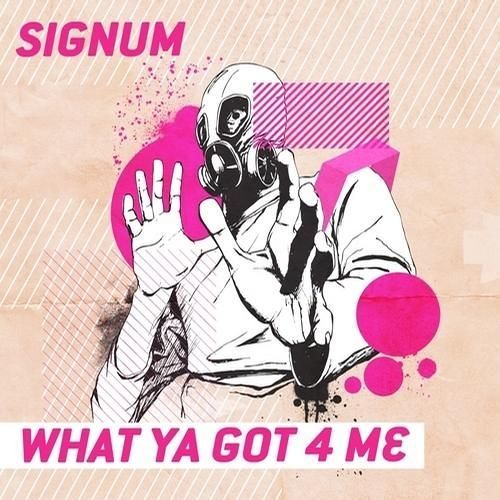 Signum What Ya Got 4 Me - 9db Remix