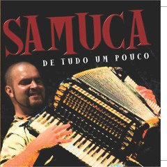 GAITA PIANADA / ZÉ MENDES CAMILLO.