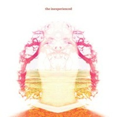 The Inexperienced "I Can't Stop This Love"