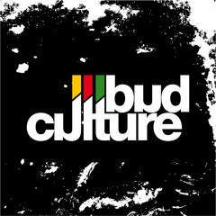 Rough night - Tubby Bud Culture - Mr Upfull Version