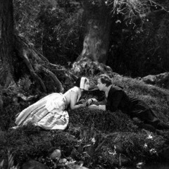 Music From the Scarlet Letter......In the Forest, Viola d'amore