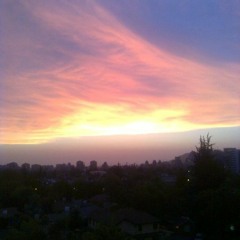 TCL-licencia para volar