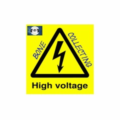 Bonecollecting - High Voltage (i hate vocals extended - Mix) Preview