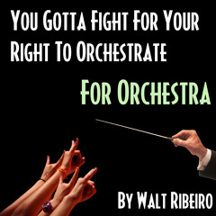 Beastie Boys 'You Gotta Fight For Your Right' by Walt Ribeiro