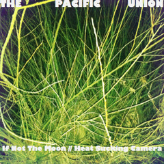 Heat Sucking Camera [Live in highschool]