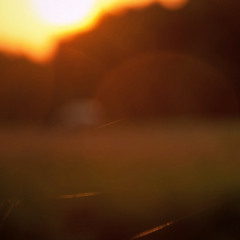 Mellow Movez - Sommerloch