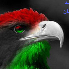 الحبيطري  مانلقاش
