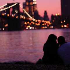 Love Birds