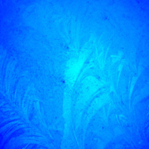 Are you buying that frisellope?