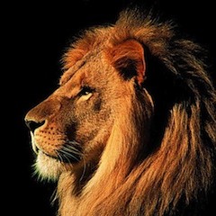 DJ Drama mixtape "Talk about money" Rexx Leo GD AZ fresh