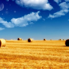 Jay Saunders feat. Marcie - Summer Breeze (Original mix)