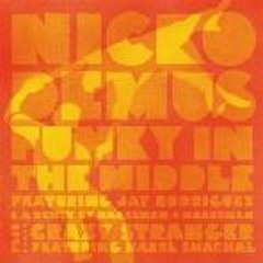 Nickodemus- Crazy Stranger (Thievery Corporation Remix)