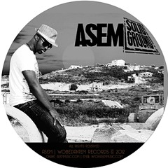 12.Asem E be Ur Own  ft V.I.P