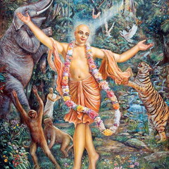 Sri Krishna Chaitanya - Vaiyasaki Das
